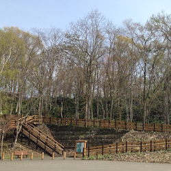 嵐山展望台駐車場の木道