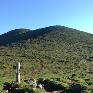美瑛富士頂上に続く登山道