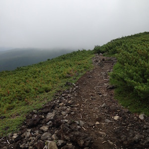 雲ノ平分岐からの道