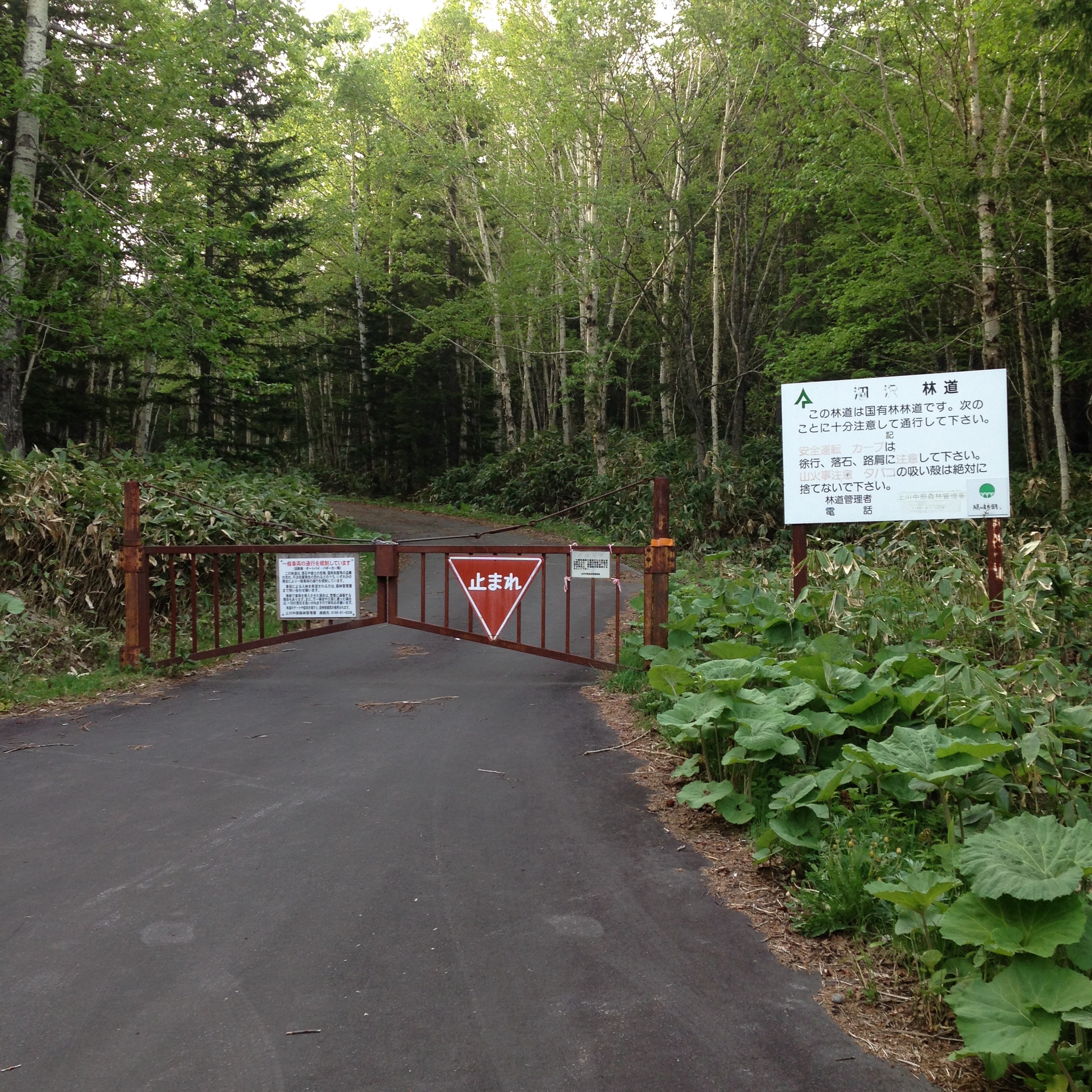 美瑛富士登山口のゲート