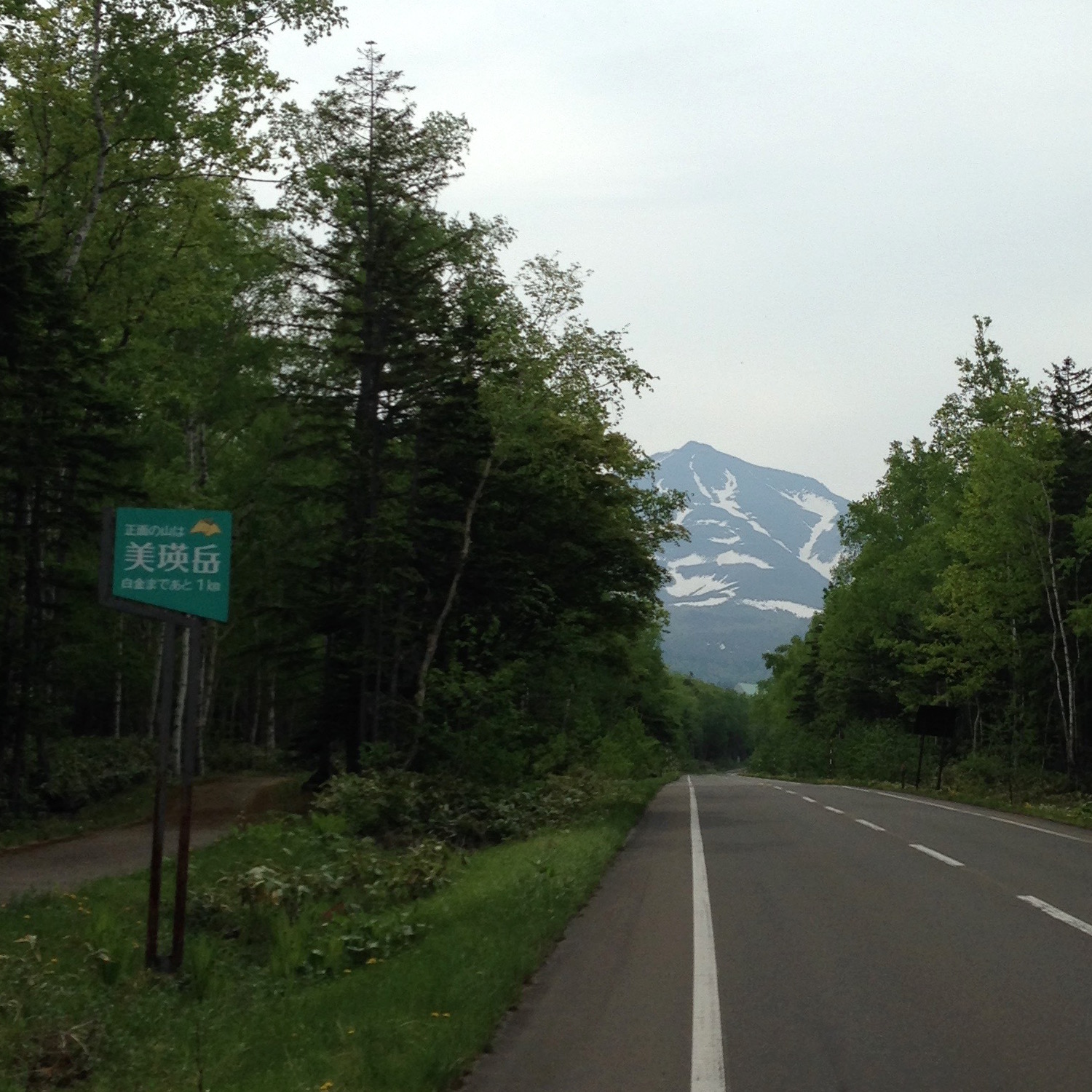 美瑛富士への看板