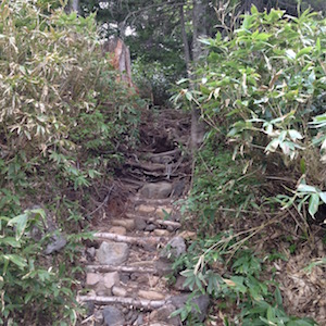 美瑛富士登山道