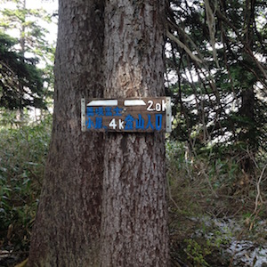 美瑛富士登山道にある看板