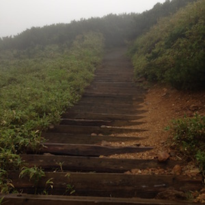 登山道の階段