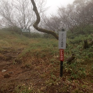 タツニタイ（白樺）見晴台