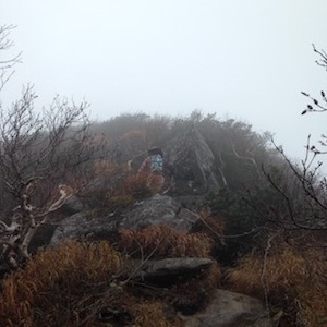 ホロホロ山山頂手前