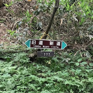 新道旧道分岐