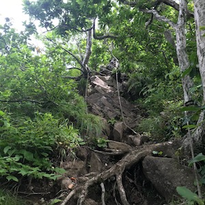黄金山ロープ場