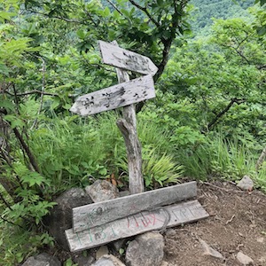 黄金山新道旧道合流点