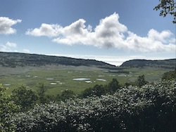 雨竜沼湿原全景