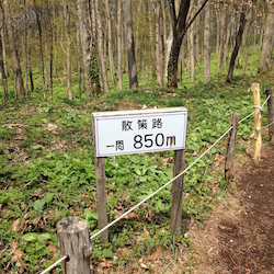 コーズ内の看板