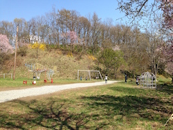 駐車場横の遊具