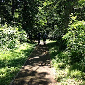 甘露泉までの遊歩道