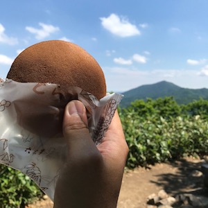 六花亭のどら焼きを三角山でいただく