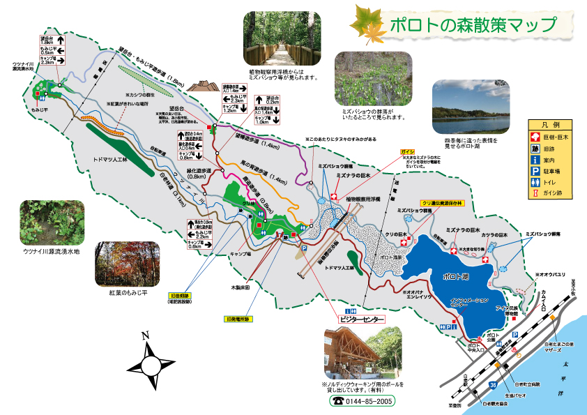 ポロト自然休養林散策ＭＡＰ