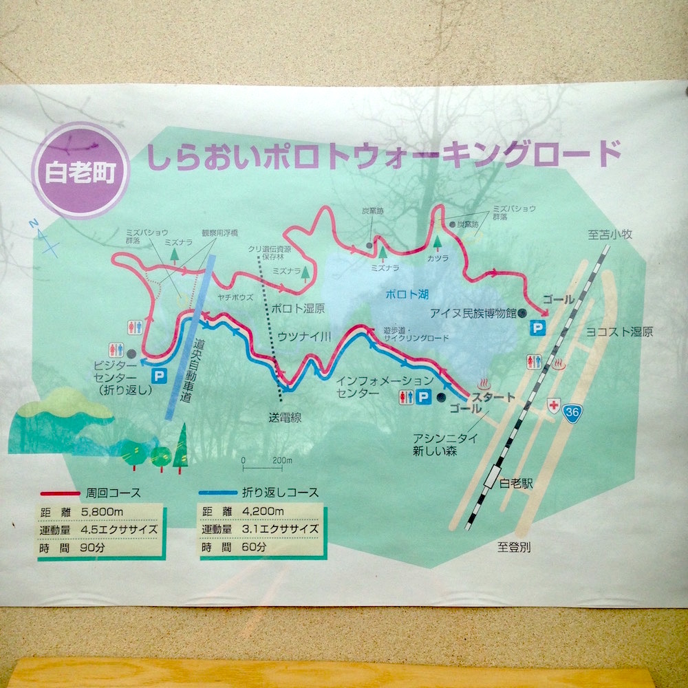 しらおいポロトウォーキングロード図