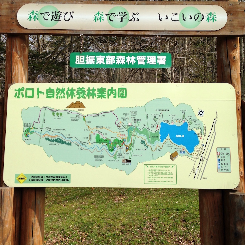 ポロト自然休養林案内図