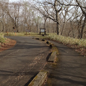 ポロト自然休養林の道路状態