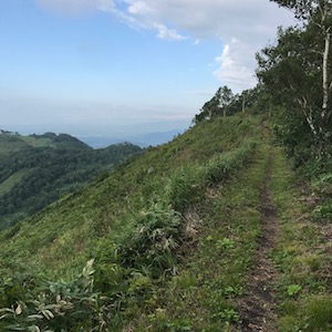 登山道