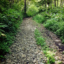 手稲山の登山道