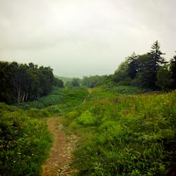 手稲山の登山道の一部