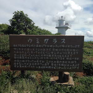 ウミガラスの看板