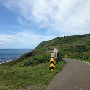 天売島のマムシの看板
