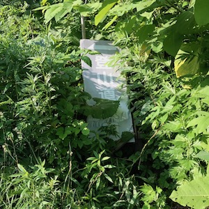 登山道入口の看板