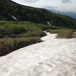 雪渓